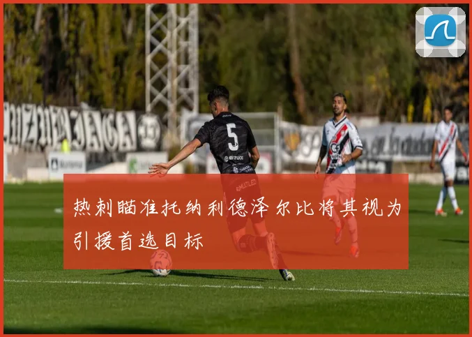 热刺瞄准托纳利德泽尔比将其视为引援首选目标