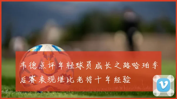 韦德点评年轻球员成长之路哈珀季后赛表现堪比老将十年经验