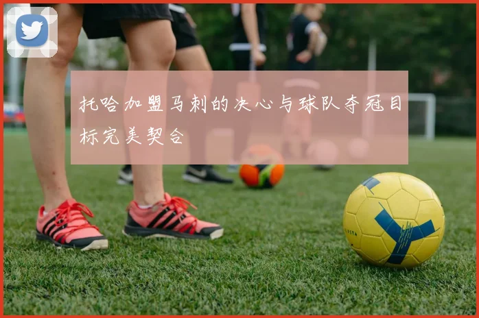 托哈加盟马刺的决心与球队夺冠目标完美契合
