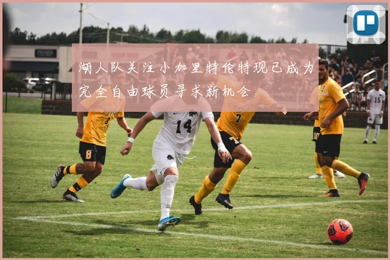 湖人队关注小加里特伦特现已成为完全自由球员寻求新机会